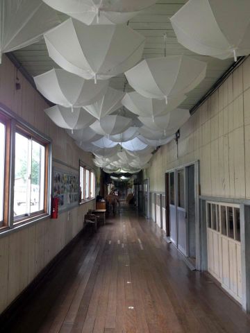 10629825 557602194368955 3377522344957643005 n