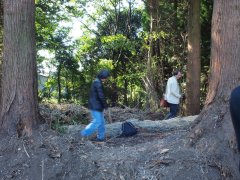 ikeda2011013_R.JPG